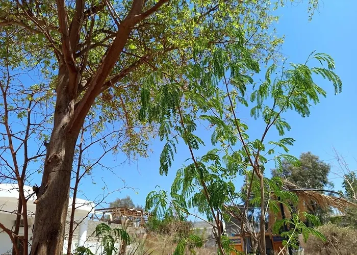 Cozy With A Big Garden Dahab